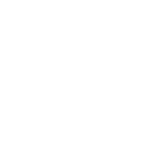 vdv_logo_velowallet_500x500