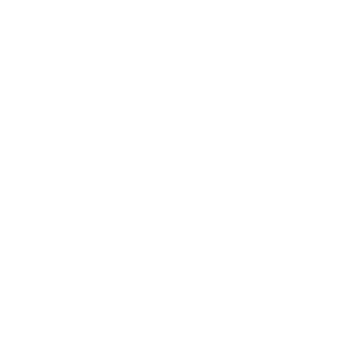 vdv_logo_velomate_500x500