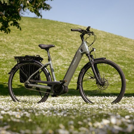 Fahrrad, AEB PRO, auf grüner Wiese