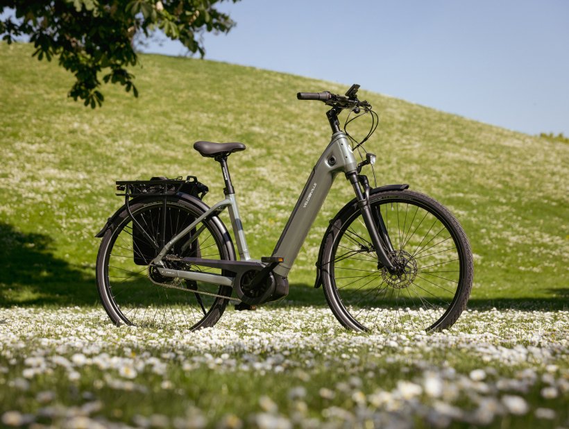 Fahrrad, AEB PRO, auf grüner Wiese