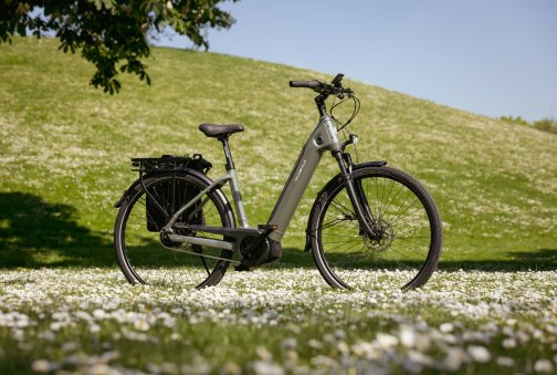 Fahrrad, AEB PRO, auf grüner Wiese