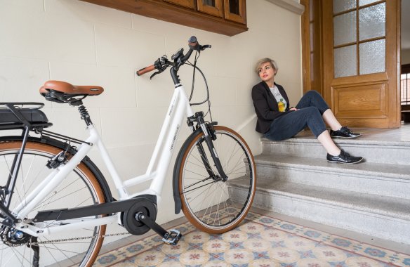 City Pedelecs City E Bikes Velo De Ville