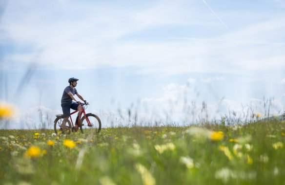 Konfigurator E-Bike
